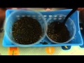 Vie pratique : transvaser