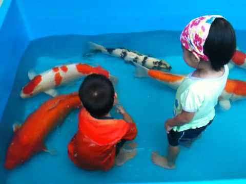 funny kid , Giant fish !!!!!
