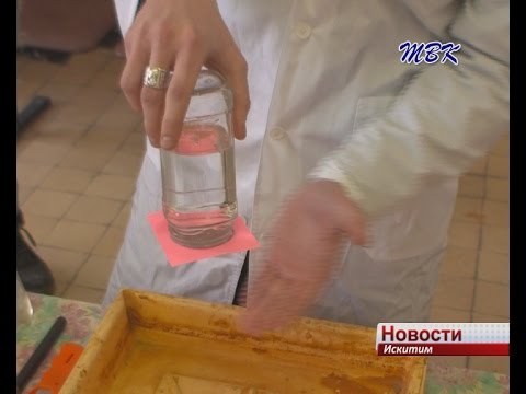 «Мыслить. Искать. Творить». В Искитиме состоялся фестиваль естественных наук «Мыслить. Искать. Творить». В Искитиме состоялся фестиваль естественных наук