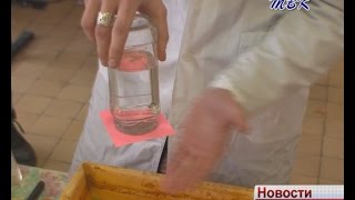 «Мыслить. Искать. Творить». В Искитиме состоялся фестиваль естественных наук