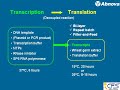 Wheat Germ Cell-Free Protein Synthesis - Lecture Series 1
