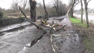 Massive Storm Damage in Cork