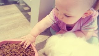 BABY EATS DOG FOOD!