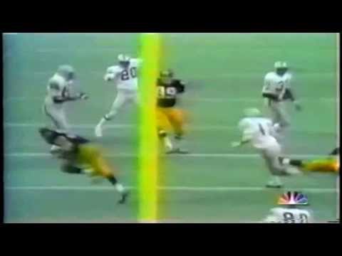 IMMACULATE RECEPTION VIDEO immaculate reception video: