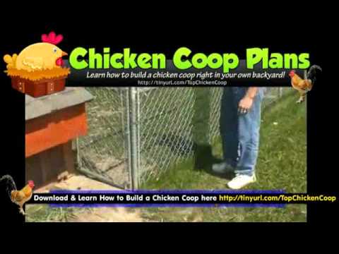 Chicken Co-op On Wheels Plans