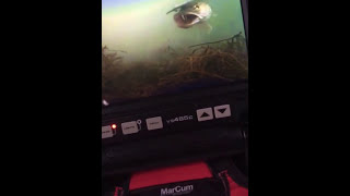 MarCum VS485c видео Подводные видеокамеры