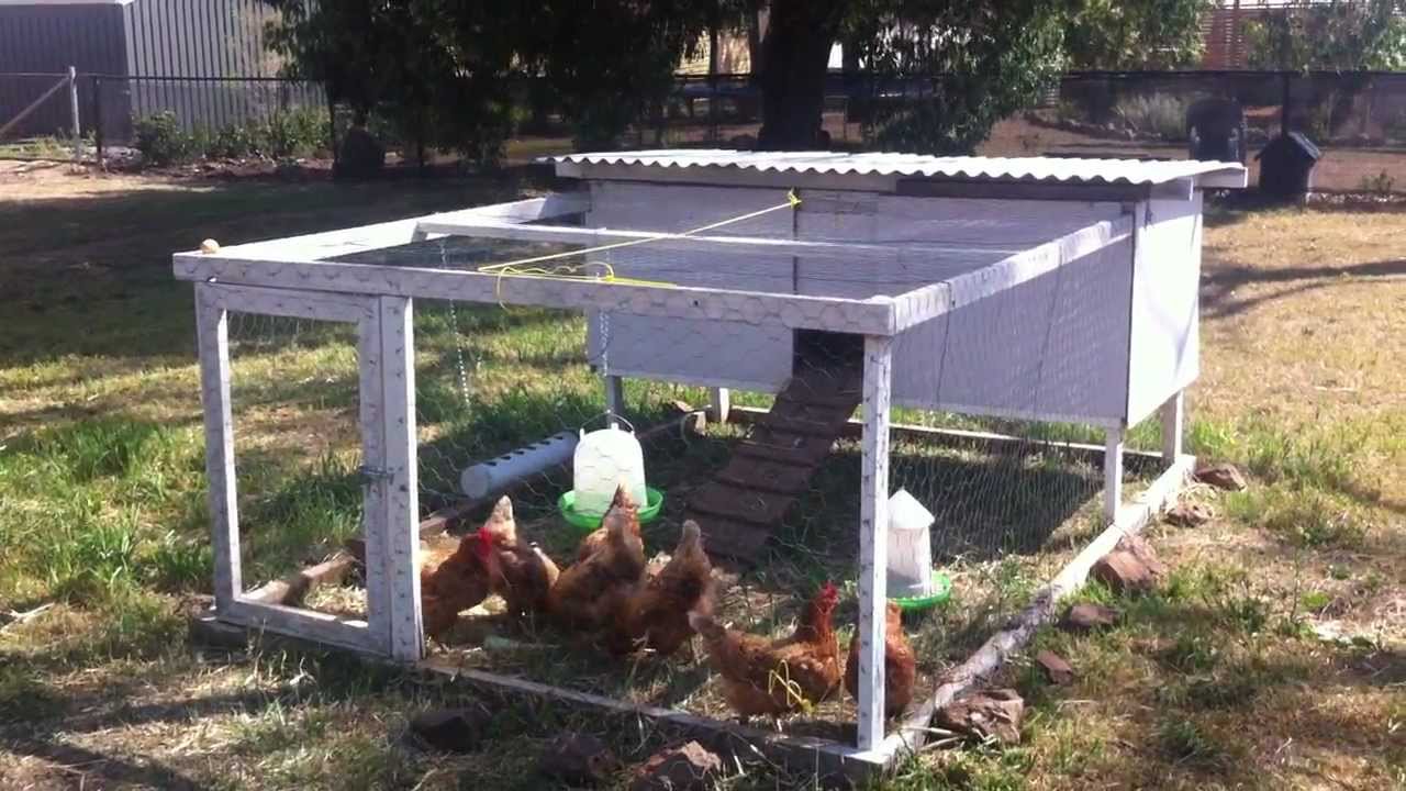 Tour our Chicken Tractor. DIY portable chicken coop - YouTube