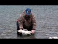 Steelhead Fishing In British Columbia Canada