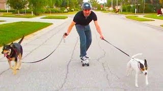 DUMB SKATEBOARDING TRICK