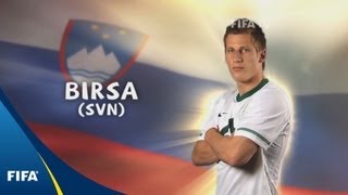 Valter Birsa - 2010 FIFA World Cup