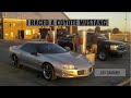 Camaro Z28 Vs Mustang 5.0 2011 - Youtube