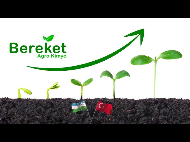 ''Bereket Kimyo Agro''