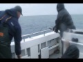 Halibut Charter Ninilchik, AK July 2012