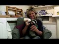Cute Baby Badgers!