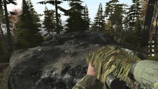 Первый день из NAPF (DayZ)