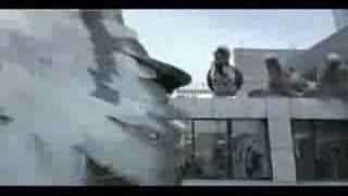 FedEx Pigeon Superbowl Commercial