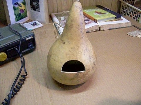 How to Make a Quick and Easy Gourd Birdhouse - YouTube