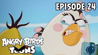 Angry Birds Toons - S3 EP24