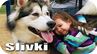 ЛУЧШИЕ ПРИКОЛЫ #181