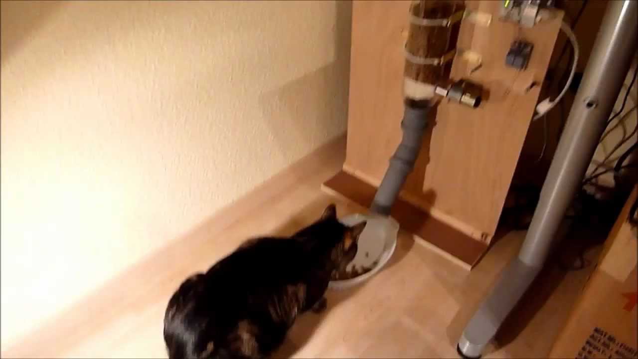 Internet Enabled Cat Feeder powered by Arduino - YouTube