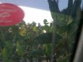 Driving through Haiti's country side