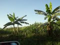 Driving through Haiti's country side