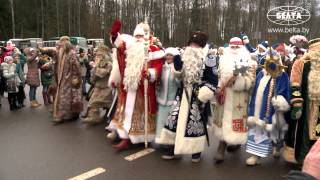 Парад Дедов Морозов в Беловежской пуще