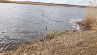 ловля сырти ловля сырти