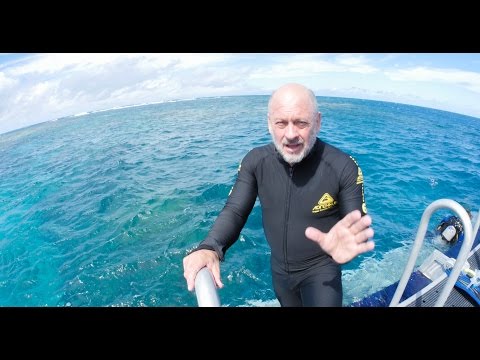 Tim Flannery: Reef Reality Check
