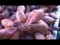 Travel Vlog #3: Ao Nang, Krabi, Thailand. Street markets and animal friends.