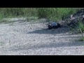 Testing New Electric Truggy