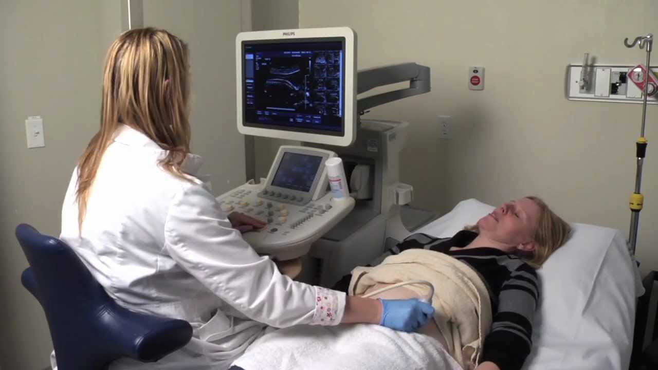 Cardiac Sonography Programs In Ontario