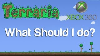 Terraria - What Should I do?