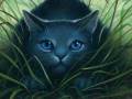 Warrior Cats Theme Songs