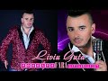 LIVIU GUTA - POVESTE FARA SFARSIT