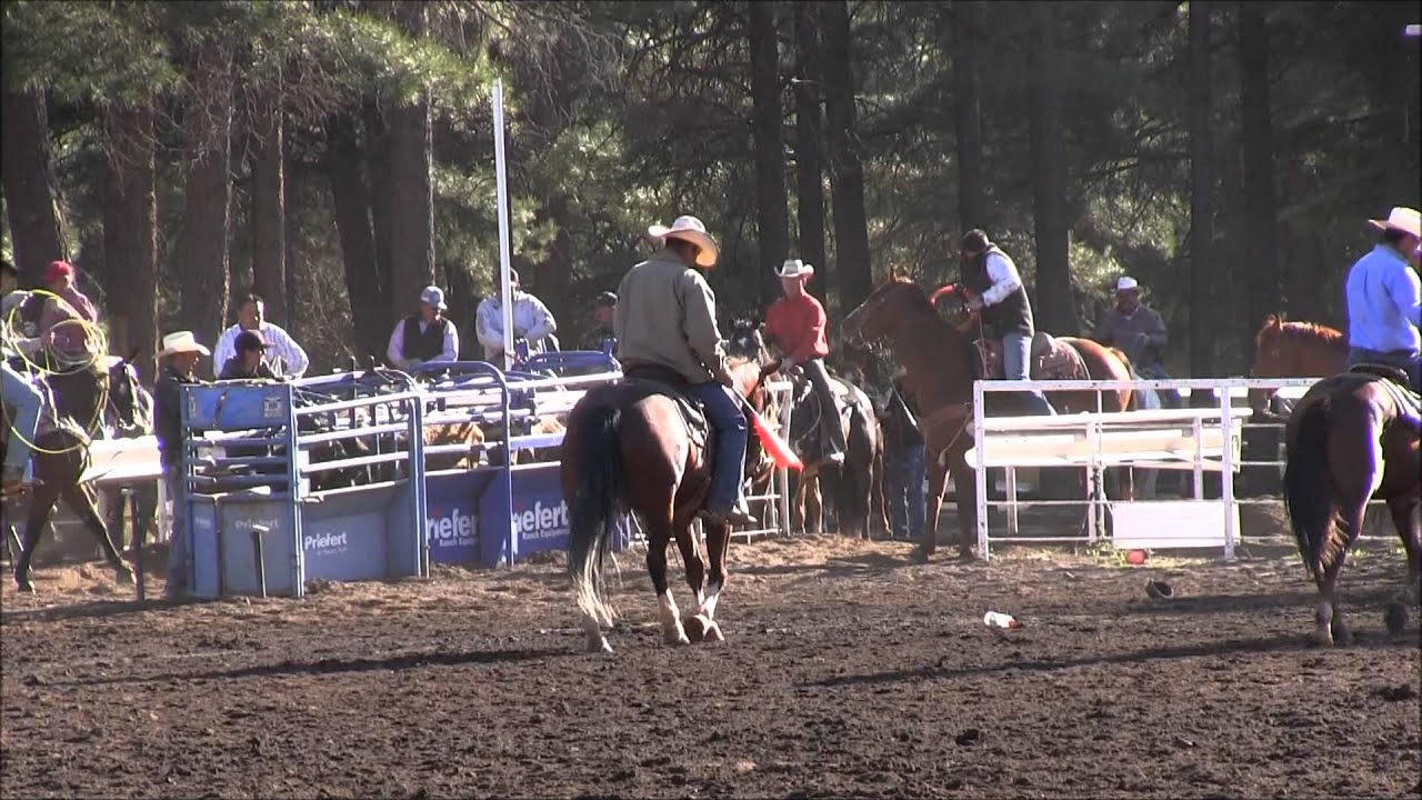 Search Results for: World Series Qualifiers Team Roping