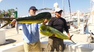 Thief of the Ocean | Sea Lion Steals Trophy Fish