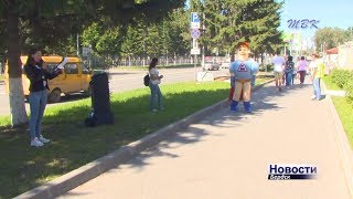 Бердским водителям и пешеходам сотрудники госавтоинспекции напомнили о правилах дорожного движения