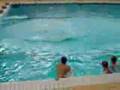 Funny Stupid Videos - Youtube