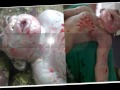 Thumbnail 1 for ANIMAL GAVE BIRTH TO HUMAN LIKE CREATURE Thumbnail 1 for ANIMAL GAVE BIRTH TO HUMAN LIKE CREATURE