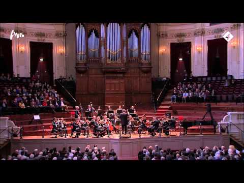 Symphony No. 5 in B flat major, D. 485 (Mantova Kamerorkest)