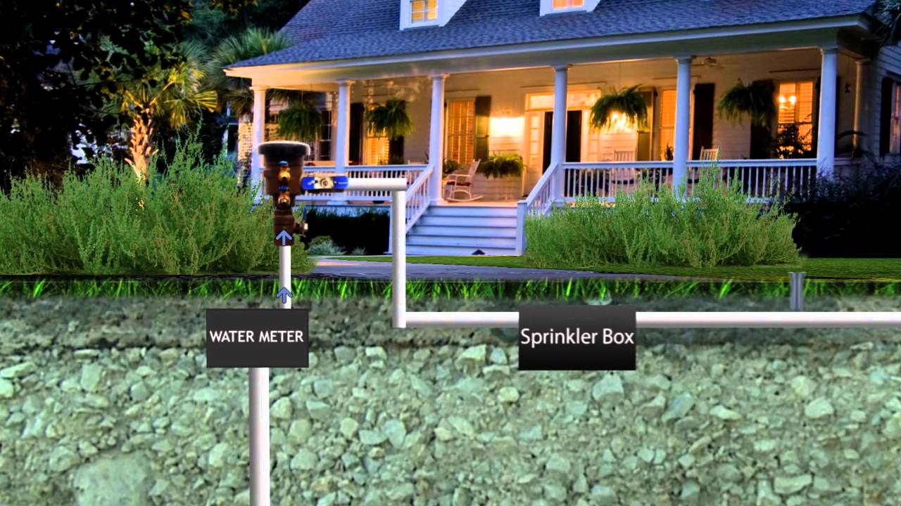 What Does A Backflow Look Like at Raleigh Swain blog