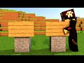 Peixe Dourado! - Queda num Sonho: Minecraft #2