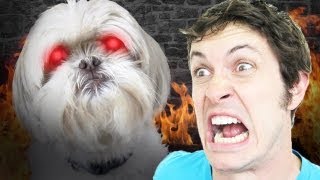 EVIL TALKING DOG!