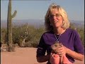 DISCOVER THE WILD, SOUTHWEST WILDLIFE