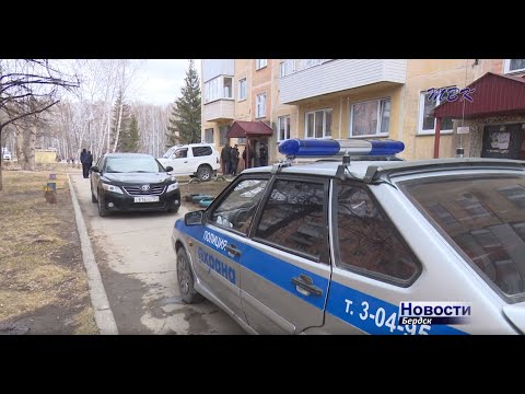 Кто вправе спилить аварийное дерево в Бердске?