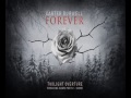 Carter Burwell-Breaking Dawn part 2 Music