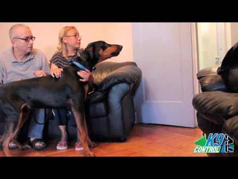 Em-Tu-Suong-Chay-Nuoc http://phimvideo.org/pros-cons-of-a-doberman-pinscher-dog-breeds.q4lzZ5Zlh16IkoI.html