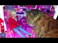 NEW! One Direction Crash Barbie's New Townhouse! OMG! .::Official Video::.