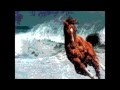 Comme on achève bien les chevaux - slam.